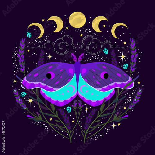 illustration of celestial moth at night with flower