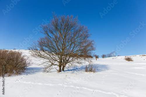Snowy sunny Ticha Sarka in the Winter, Nature Reserve in Prague © Kajano