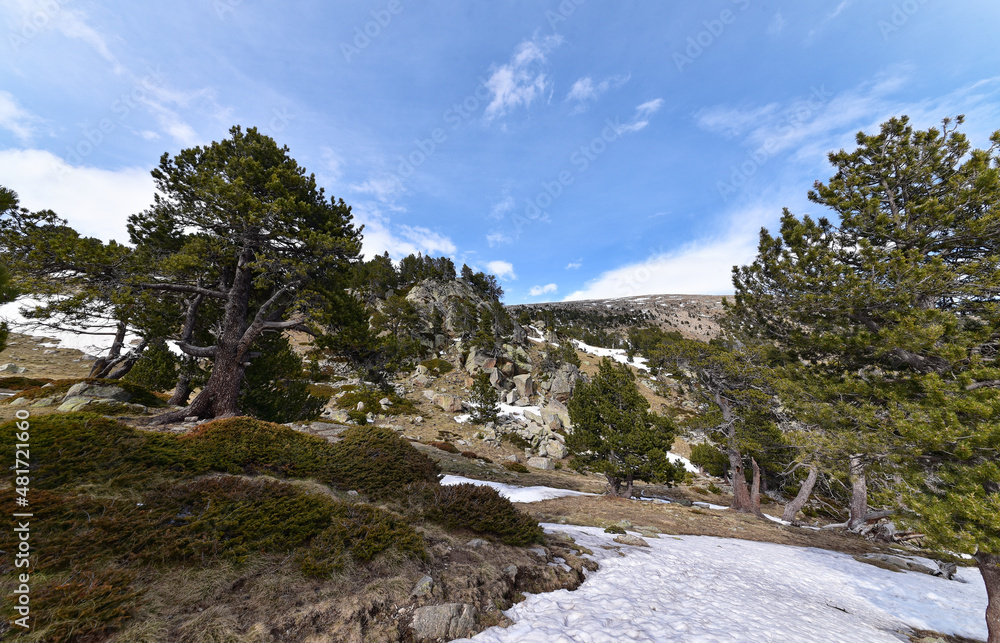 Spanien - Pyrenäen - Pic de Perafita - Wanderweg