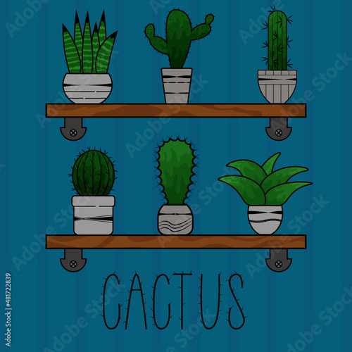 Cactus