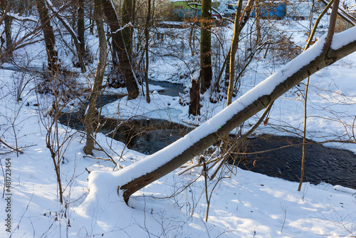 Snowy sunny Ticha Sarka in the Winter, Nature Reserve in Prague photo