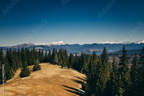 Snow-capped mountains, meadow and coniferous forest, spring, winter