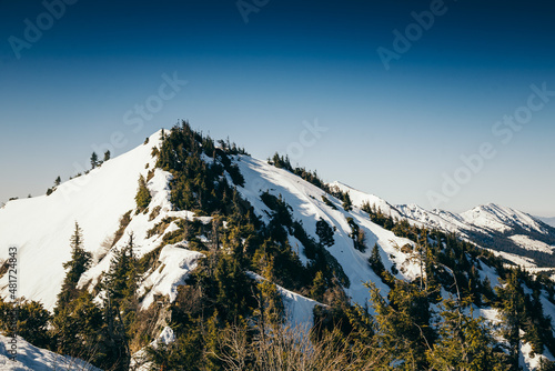 Mountains, coniferous forest in the snow, spring, winter