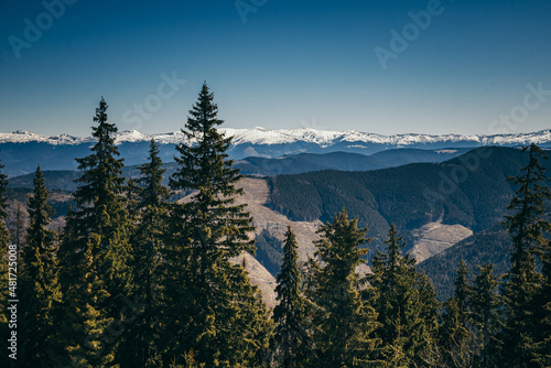 Snowy mountains, coniferous deforestation, a spring, a winter