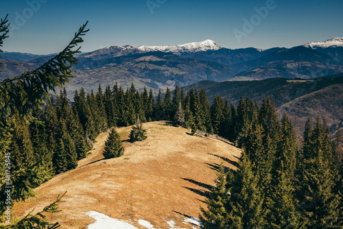Snow-capped mountains, meadow among coniferous forest, spring, winter