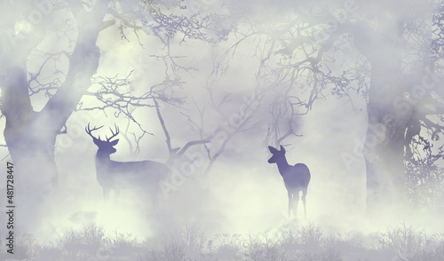 A buck and a doe whitetail deer are seen in a foggy forest in winter in this 3-d illustration..