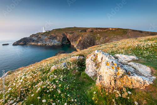 Trevose Head lighthouse, foreground rocks and flowers,sunset,northern Cornwall,England,United Kingdom.