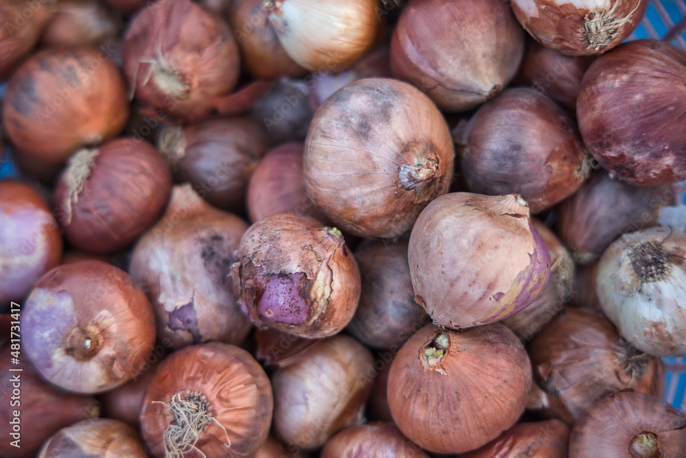 A pile of onions at a market in Hua Hin Thailand stacked and ready for sale. The onions are natural and fresh. A pile of onions at a market in Hua Hin Thailand stacked and ready for sale. The onions are natural and fresh.