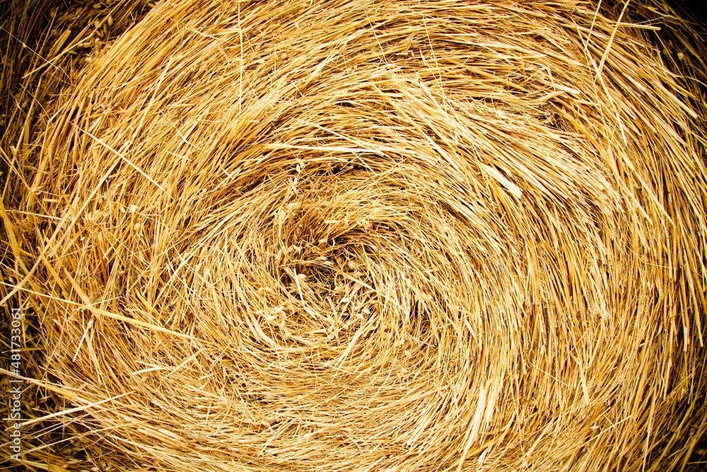 straw bale background straw bale background