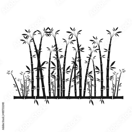 illustration with a bamboo silhouette on white background
