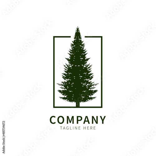 Wild Pine logo. Vintage Evergreen design illustration vector