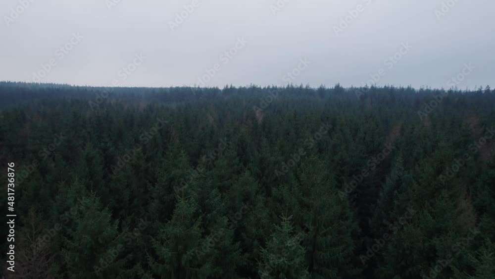 Birdseye View of Treetops, Dark Pine Forest, Foggy Autumn Landscape - Dolly In Shot Birdseye View of Treetops, Dark Pine Forest, Foggy Autumn Landscape - Dolly In Shot