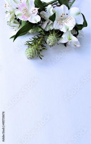 A delicate bouquet of white flowers. White astromeria on a white background. The bride's bouquet, a festive floral arrangement. Background for a greeting card. photo