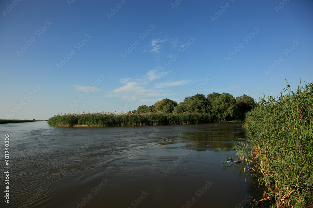 Beautiful landscape Delta of the Volga. Astrakhan Region. Wild nature of Russia.