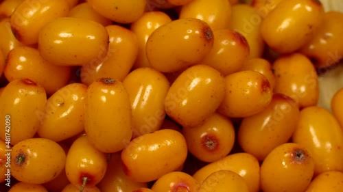 Sea buckthorn berries. Close up, background rotation