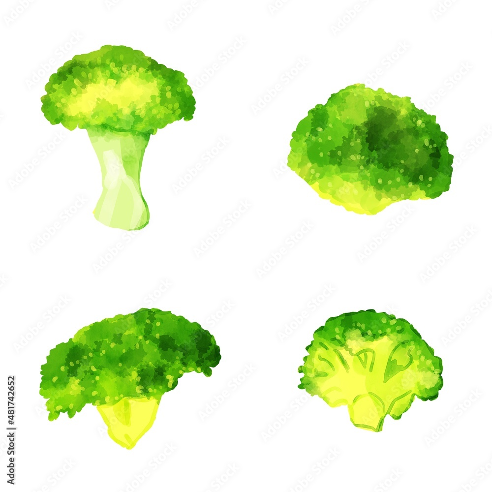 手描き水彩のブロッコリーイラストセット Stock Illustration Adobe Stock 手描き水彩のブロッコリーイラストセット Stock Illustration Adobe Stock