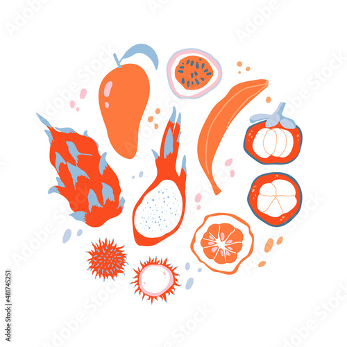 Tropical fruits collection. Bright and juicy isolated fruits in simple elegant style.