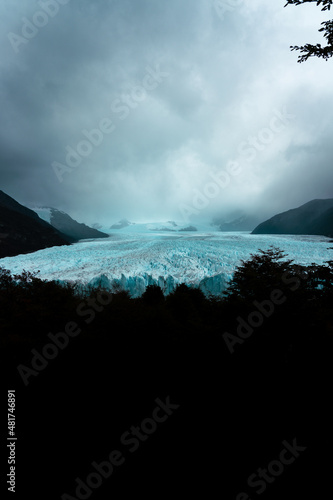 Vast Blue Glacier field with silhouette of trees