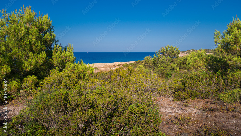 Obraz premium A view from Punta de n'Amer on the coast of Cala Millor bay on Mallorca island in the Mediterranean Sea