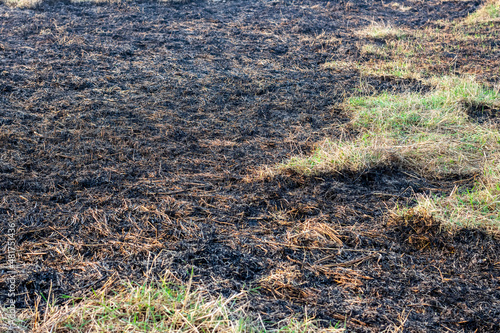 A land fully covered with burnt straw and grass used for organic fertilizer