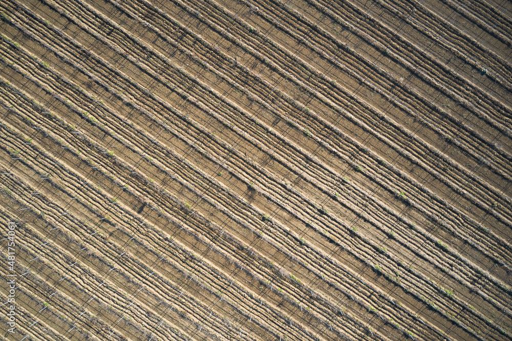 Field texture aerial view. Plantation texture of arable land at high altitude. Lines on the surface of the earth top view. Farmland aerial view. Ground surface texture drone view. Field texture aerial view. Plantation texture of arable land at high altitude. Lines on the surface of the earth top view. Farmland aerial view. Ground surface texture drone view.