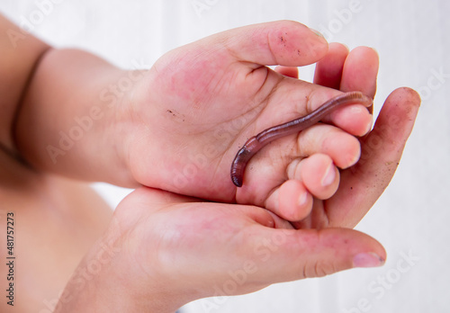 A boy holds a worm in his hands