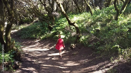 Walking young woman in a red dress in the heather forest on a calm sunny day, Valverde, La llania photo