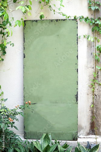 vintage wooden blank board on a white wall with natural green leaves and flower , rustic sign wallpaper background