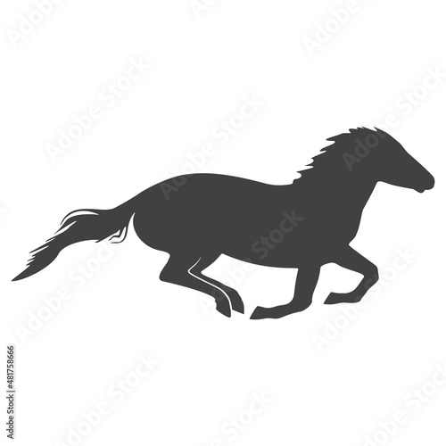 Horse silhouette, icon. Vector illustration on a white background. © OnD