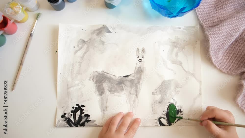 Watercolor hand drawn simple illustration of alpaca, llama. Children painting style. Wildlife. Watercolor hand drawn simple illustration of alpaca, llama. Children painting style. Wildlife.