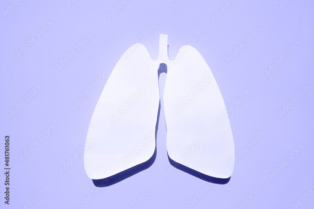 Anatomical lungs paper silhouette in trendy color 2022. The concept of healthy breathing. Flat lay. Anatomical lungs paper silhouette in trendy color 2022. The concept of healthy breathing. Flat lay.