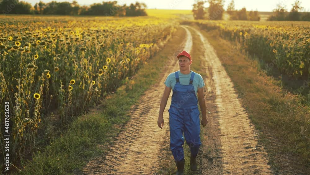 Agriculture. Farmer in rubber boots walks along a rural road. Agricultural business. Farmer in field. Agriculture concept. Farmer walk along rural road in green field. Agricultural business concept Agriculture. Farmer in rubber boots walks along a rural road. Agricultural business. Farmer in field. Agriculture concept. Farmer walk along rural road in green field. Agricultural business concept