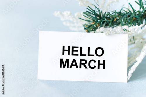 with text hello march on a white card on a blue background next to spruce branches