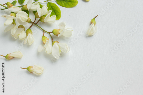 acacia flowers on  table. tender spring flowers