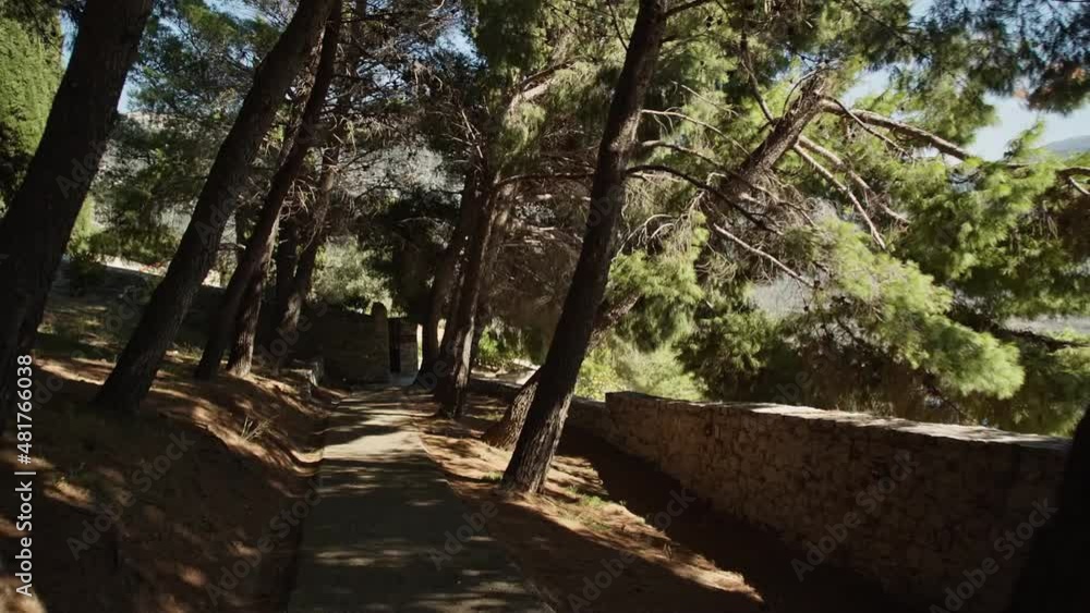 Flying through the pines besides an ancient greek chapel with golden sunbeams Flying through the pines besides an ancient greek chapel with golden sunbeams