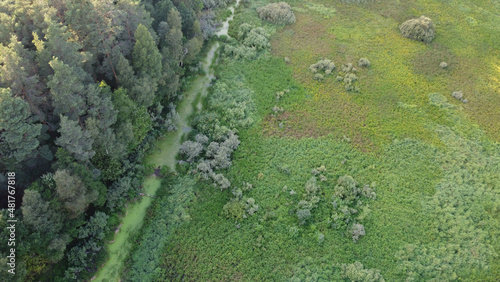 Aerial view of forest edge and grass field border during a summer day. Green trees and glade clearing top view. Stock photo from above