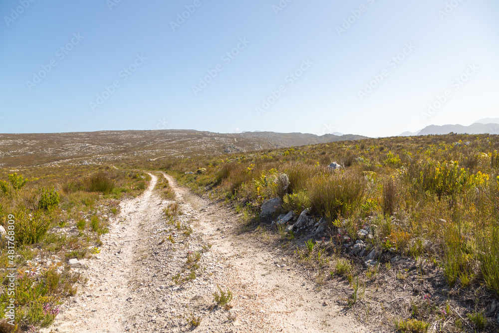 trail,path,Western Cape,Kogelberg,South Africa,landschaft,hiking,sightseeing,panorama,fynbos,southern hemisphere,natur,nature,southern africa,landscape,outdoor,mountain,wandern,afrika,südafrika,blue s