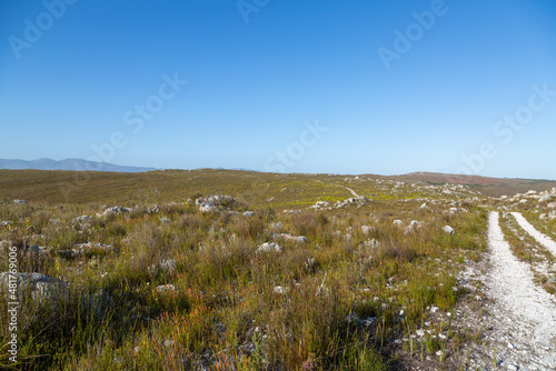 Landscape along a small trail in the Kogleberg Nature Reserve near  Betty's Bay in the Western Cape of South Africa © Christian Dietz