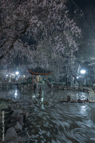 japanese garden
