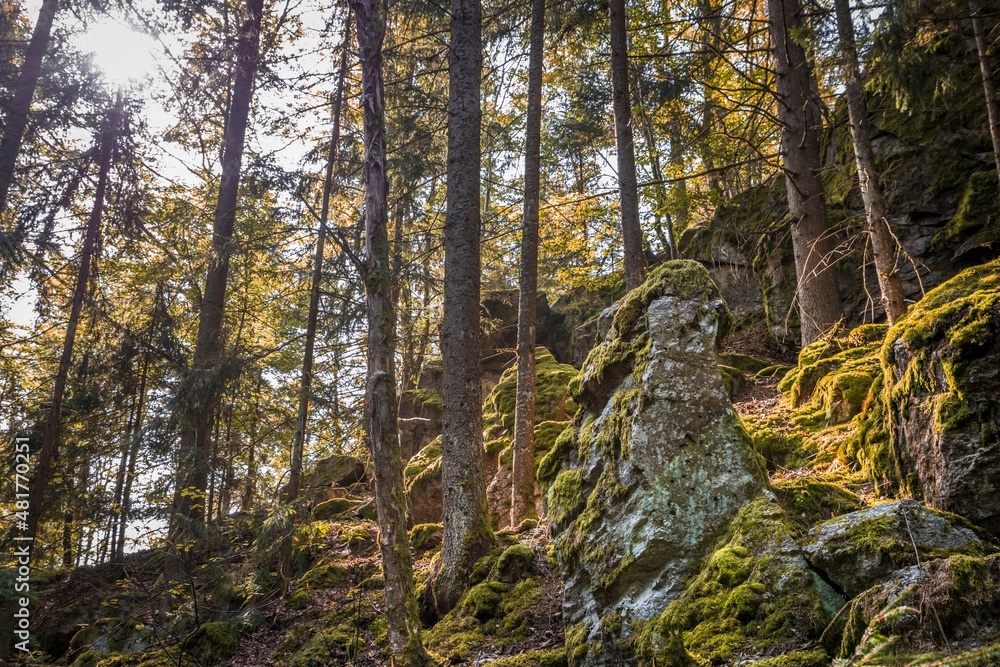 Großer verwitterter Granit Felsen in der Form eines menschlichen Kopfes mit Augen Ohren Mund und Nase mit Moos überwuchert am Berg Hoher Sachsen bei Grafenau im bayerischen Wald, Deutschland Großer verwitterter Granit Felsen in der Form eines menschlichen Kopfes mit Augen Ohren Mund und Nase mit Moos überwuchert am Berg Hoher Sachsen bei Grafenau im bayerischen Wald, Deutschland