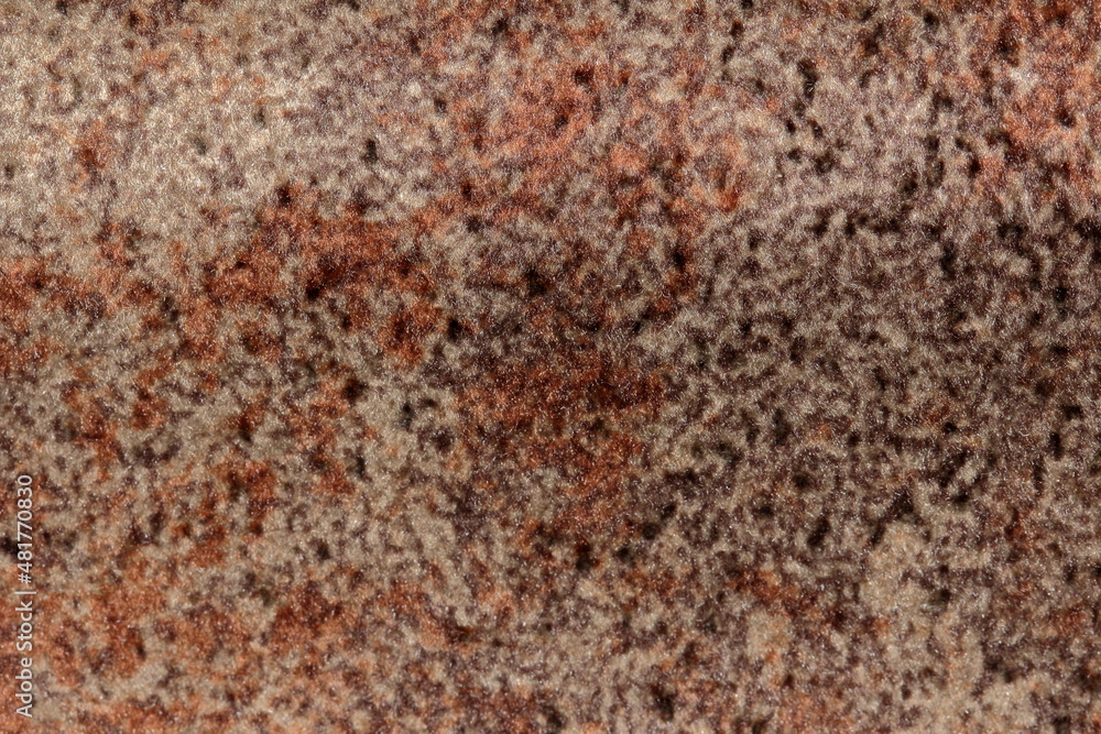 texture of velour fabric imitating decorative plaster texture of velour fabric imitating decorative plaster