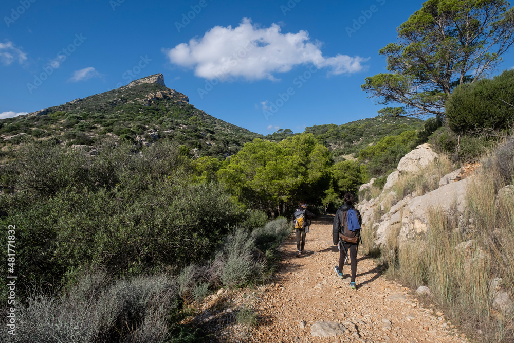Na Miranda road, Sa Dragonera natural park,Mallorca, Balearic Islands, Spain