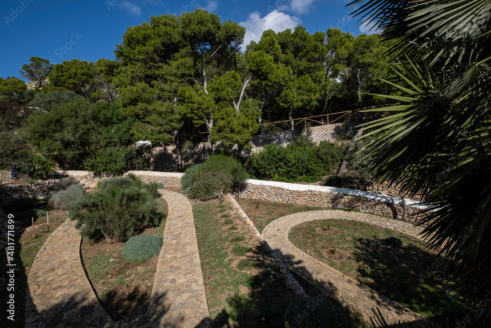 Mediterranean garden of native plants, Sa Dragonera natural park, Mallorca, Balearic Islands, Spain