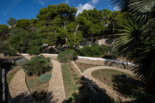 Mediterranean garden of native plants, Sa Dragonera natural park, Mallorca, Balearic Islands, Spain