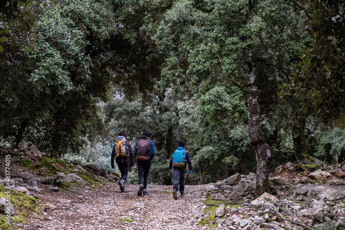 three hikers, Montnàber oak forest, Fornalutx, Mallorca, Balearic Islands, Spain