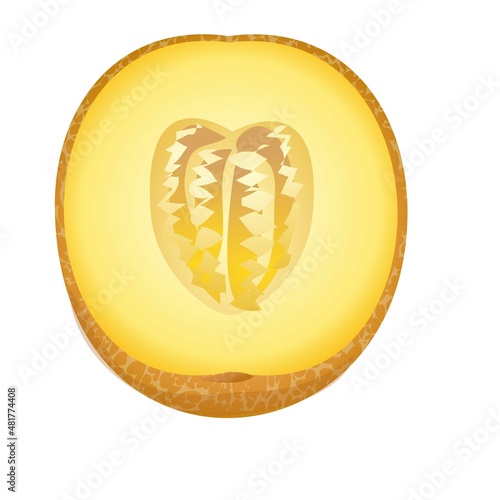 Cutted melon icon cartoon vector. Yellow fruit