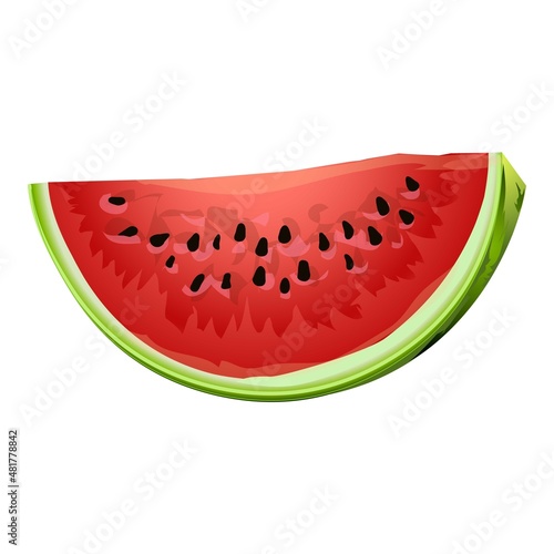 Fresh watermelon piece icon cartoon vector. Summer fruit