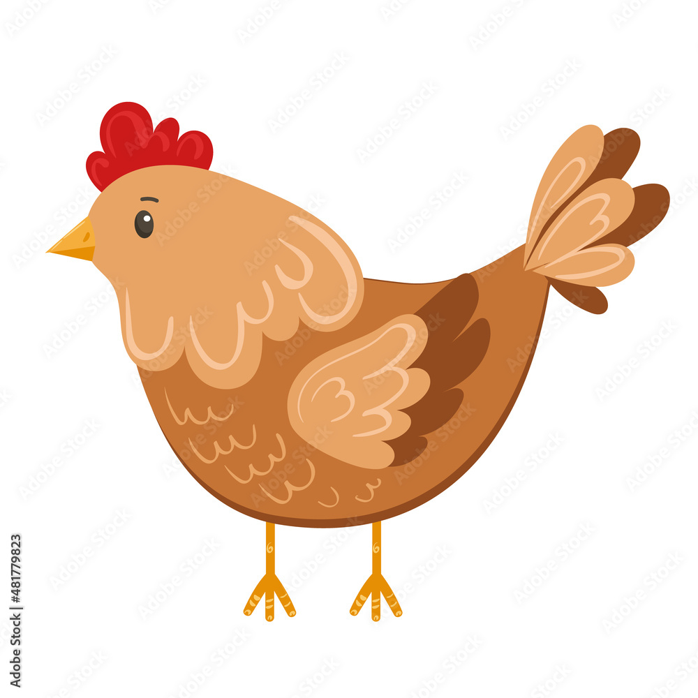 Cute stylized chicken in flat style isolated on white background. Vector drawing of a farm chicken. Chicken, farm, livestock in minimalist style.