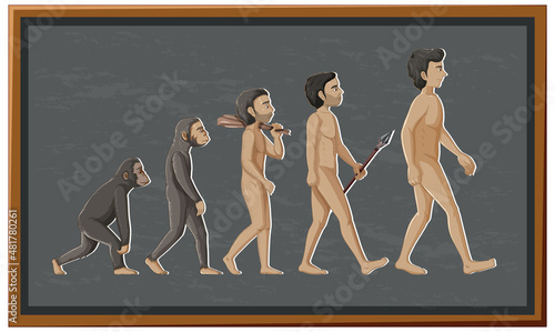 Stages of human evolution cartoon character