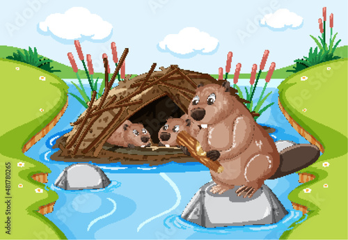 Forest scene with beavers living in dam